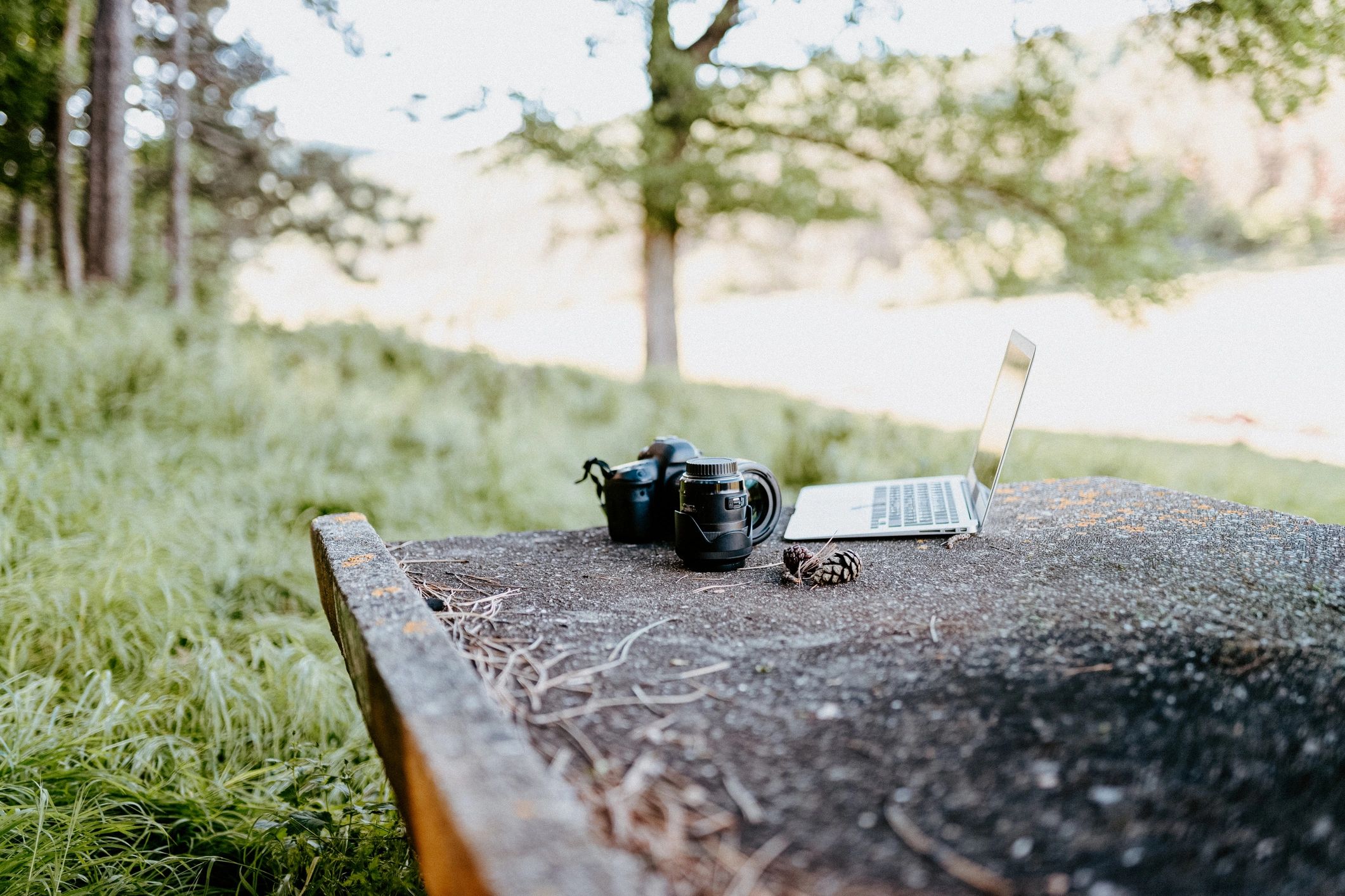 Camera and laptop used for photography workflow